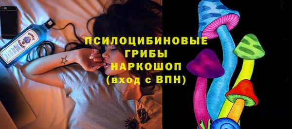 гидропоника Богородск