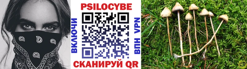 где продают наркотики  Трёхгорный  mega ссылка  Псилоцибиновые грибы Magic Shrooms 